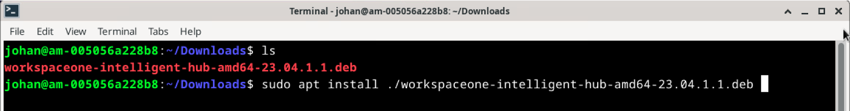Manage Linux with Workspace ONE UEM Part 3 – Installation & Enrollment ...