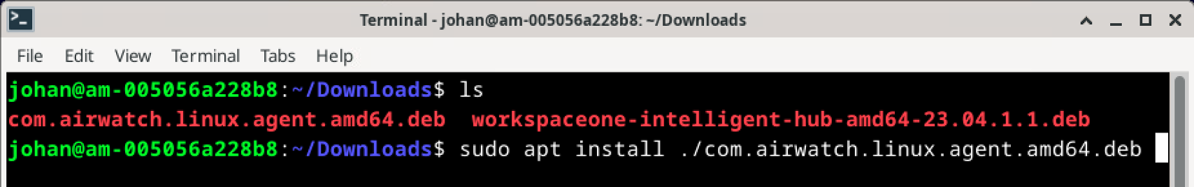 Manage Linux with Workspace ONE UEM Part 3 – Installation & Enrollment ...